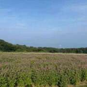 しずく ? 快楽玉乱堂