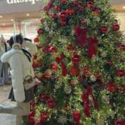 ヒメ日記 2025/12/19 02:44 投稿 桜木かのん ブルーバード