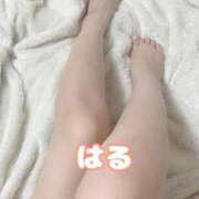 ヒメ日記 2025/10/26 11:29 投稿 はる かりんと大宮