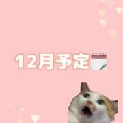 ヒメ日記 2025/12/03 22:08 投稿 はる かりんと大宮