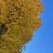 ヒメ日記 2025/12/10 10:06 投稿 みやこ 完熟ばなな大宮