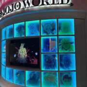 ヒメ日記 2025/12/19 23:35 投稿 りりか おいらん遊郭