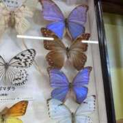 りりか こんばんは！ おいらん遊郭