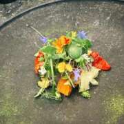 ヒメ日記 2026/01/23 16:55 投稿 りりか おいらん遊郭