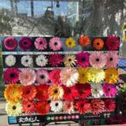 ヒメ日記 2026/01/24 20:45 投稿 りりか おいらん遊郭