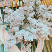 ヒメ日記 2026/03/26 16:55 投稿 りりか おいらん遊郭
