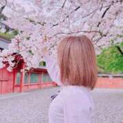 ヒメ日記 2026/03/30 22:55 投稿 りりか おいらん遊郭