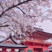 ヒメ日記 2026/04/02 19:45 投稿 りりか おいらん遊郭