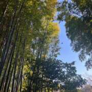 ヒメ日記 2025/11/23 06:00 投稿 吉瀬しおり 三丁目の奥様（東京ハレ系）