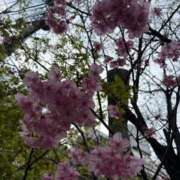 ヒメ日記 2026/03/18 17:21 投稿 吉瀬しおり 三丁目の奥様（東京ハレ系）