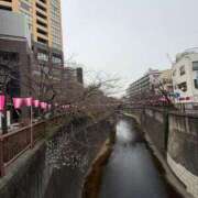 ヒメ日記 2026/03/23 12:05 投稿 吉瀬しおり 三丁目の奥様（東京ハレ系）