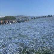 ヒメ日記 2025/10/12 07:31 投稿 カホ マテリアル