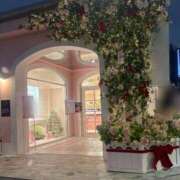 ヒメ日記 2025/11/22 15:16 投稿 カホ マテリアル