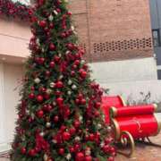 カホ 次回? マテリアル