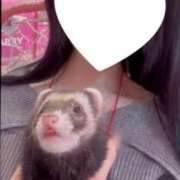 ヒメ日記 2026/03/08 07:31 投稿 カホ マテリアル