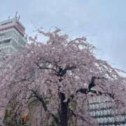ヒメ日記 2026/03/25 12:46 投稿 カホ マテリアル