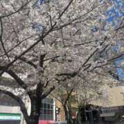 ヒメ日記 2026/04/04 05:31 投稿 カホ マテリアル