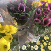 ヒメ日記 2026/04/10 16:00 投稿 綾瀬(あやせ) 人妻最後の砦 水戸店