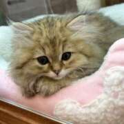 ヒメ日記 2025/10/16 09:19 投稿 みおり 東京人妻セレブリティ（ユメオト）