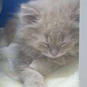 ヒメ日記 2025/10/26 09:14 投稿 みおり 東京人妻セレブリティ（ユメオト）