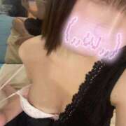 ヒメ日記 2025/10/05 11:30 投稿 ここの 折り紙 ORIGAMI