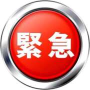 ヒメ日記 2025/10/15 01:58 投稿 ななか ドンファン