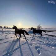 ヒメ日記 2026/01/02 22:27 投稿 めぐ 東京エステコレクション 新橋・銀座