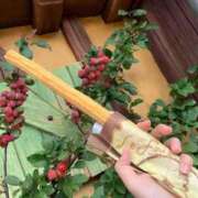 ヒメ日記 2026/01/15 10:59 投稿 ほたる 船橋桃色の妻たち