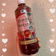 ヒメ日記 2026/02/22 12:19 投稿 ほたる 船橋桃色の妻たち