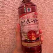 ほたる 本日！ 船橋桃色の妻たち