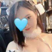 ヒメ日記 2025/10/25 13:39 投稿 しずく ぐっすり山田　上野店