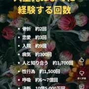 ヒメ日記 2025/11/02 23:49 投稿 ひとみ ぐっすり山田　上野店