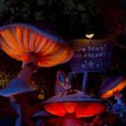 ヒメ日記 2025/11/17 10:19 投稿 ひとみ ぐっすり山田　上野店