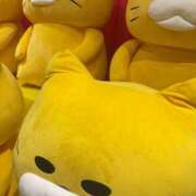 ヒメ日記 2025/12/01 23:29 投稿 ひとみ ぐっすり山田　上野店