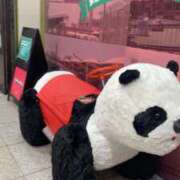 ヒメ日記 2025/12/30 10:49 投稿 ひとみ ぐっすり山田　上野店