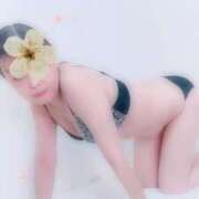 いちか お久しぶりになります 川崎・東横人妻城