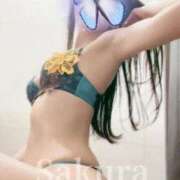 ヒメ日記 2025/12/23 15:09 投稿 さくら ぐっすり山田　上野店