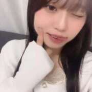 ヒメ日記 2025/11/08 23:33 投稿 芹沢せいら Delice(デリス)横浜店