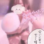 ヒメ日記 2025/10/04 01:23 投稿 みに/ロリカワパイパン美少女★ ハレンチ倶楽部　神戸店