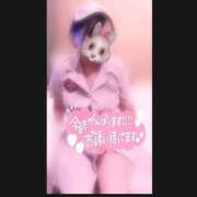 ヒメ日記 2025/10/08 15:23 投稿 みに/ロリカワパイパン美少女★ ハレンチ倶楽部　神戸店