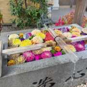 かりな 12日です💖 ぐっすり山田　上野店