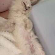 ヒメ日記 2025/12/15 11:33 投稿 一条りあな Delice(デリス)横浜店