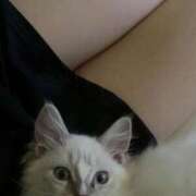 ヒメ日記 2025/12/21 10:43 投稿 一条りあな Delice(デリス)横浜店