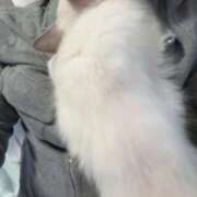 ヒメ日記 2026/01/03 12:03 投稿 一条りあな Delice(デリス)横浜店