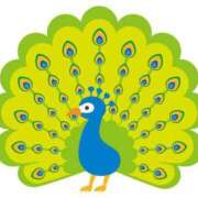 ヒメ日記 2025/10/03 13:43 投稿 海南（かな） 丸妻 錦糸町店