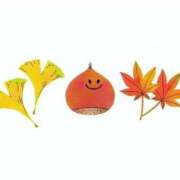 ヒメ日記 2025/10/04 10:45 投稿 海南（かな） 丸妻 錦糸町店