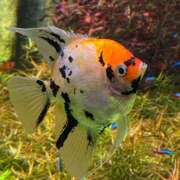 ヒメ日記 2025/11/01 10:48 投稿 海南（かな） 丸妻 錦糸町店