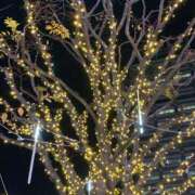 ヒメ日記 2025/11/21 21:36 投稿 海南（かな） 丸妻 錦糸町店