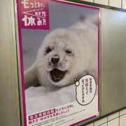 ヒメ日記 2025/12/04 12:02 投稿 海南（かな） 丸妻 錦糸町店