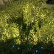 ヒメ日記 2025/12/12 22:38 投稿 海南（かな） 丸妻 錦糸町店